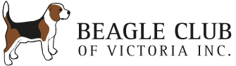 Beagle Club of Victoria
