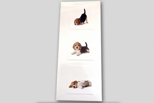 Greeting card featuring 3 Beagle puppies