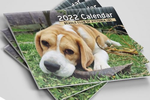 Stack of BCOV 2022 calendars