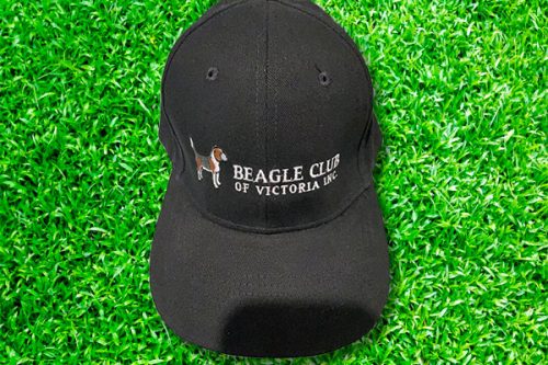 Beagle Club of Victoria Inc cap with a grass background